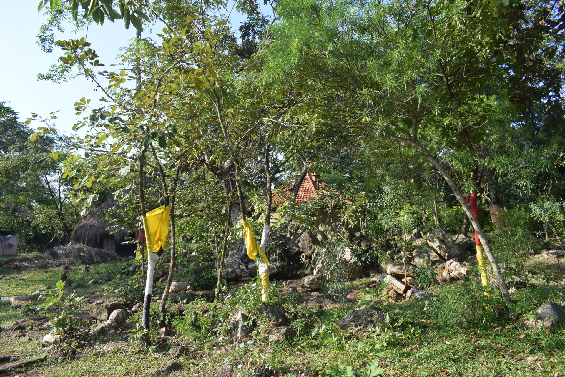 An altar at the Walussi hills in Luwero