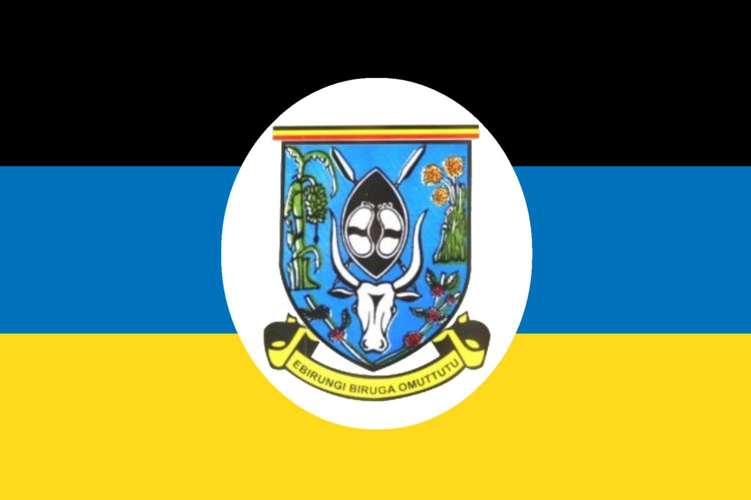 Formwr Flag of Mbarara Municipal Council, Uganda