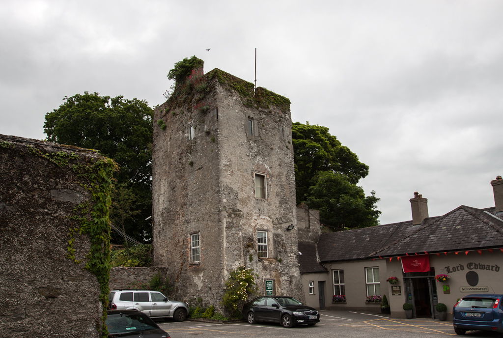 Castles of Leinster: Kildare, Co. Kildare (1)
