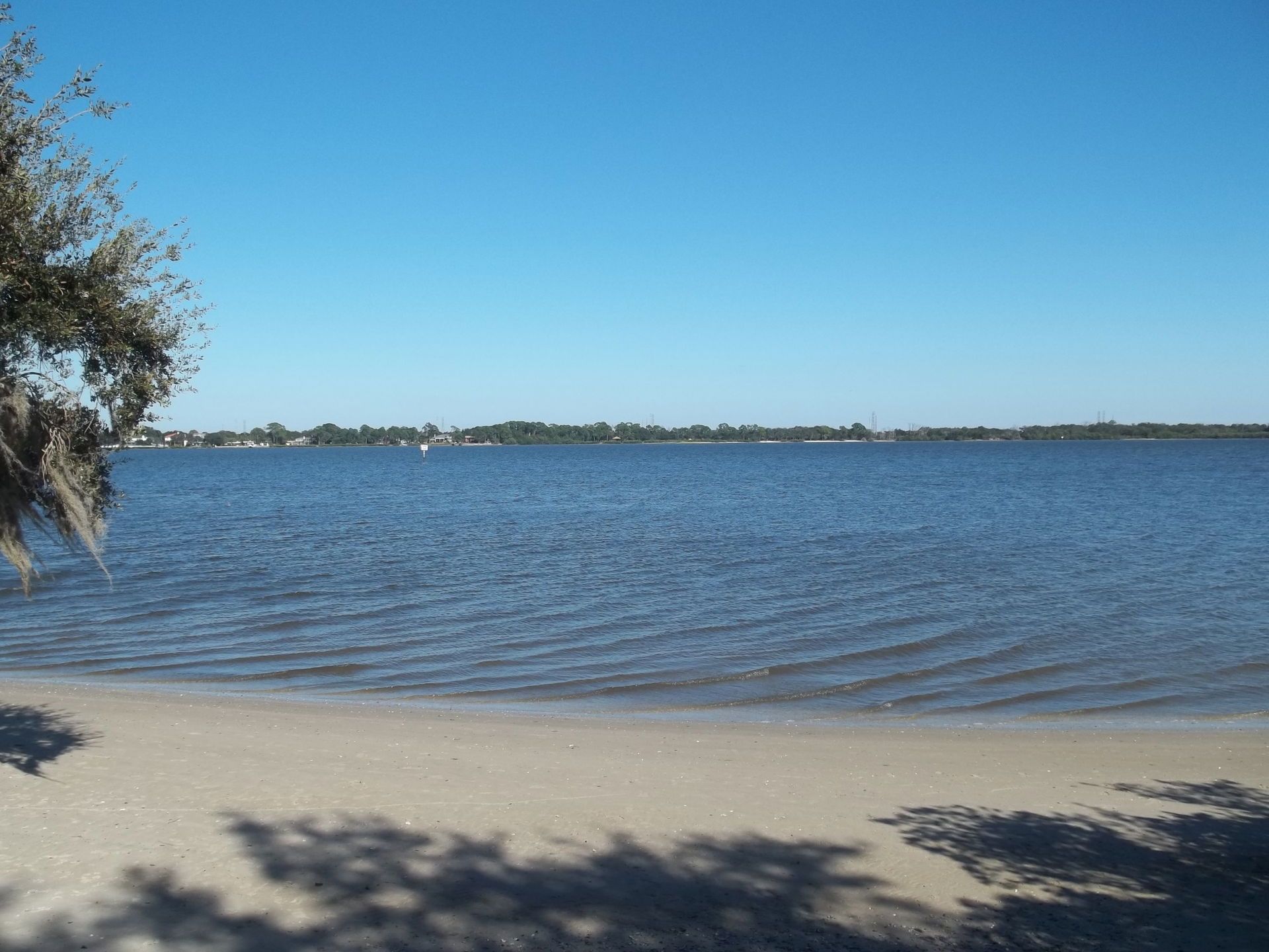 Safety Harbor, Florida: Looking at Safety Harbor (the bay) from…