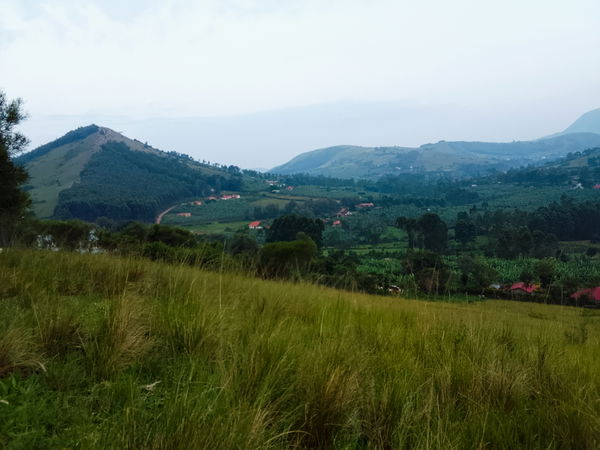 Rukungiri