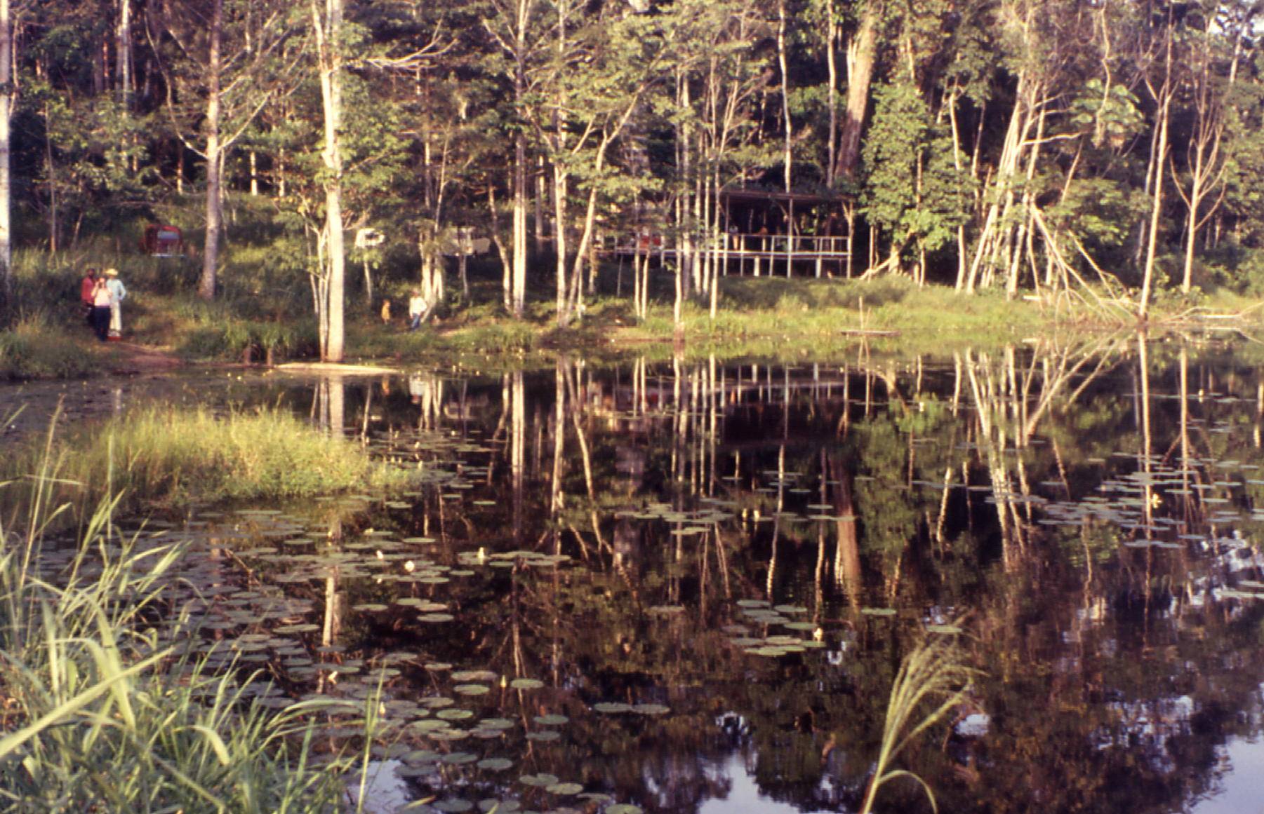 Paysage à Mbalmayo en novembre 1972