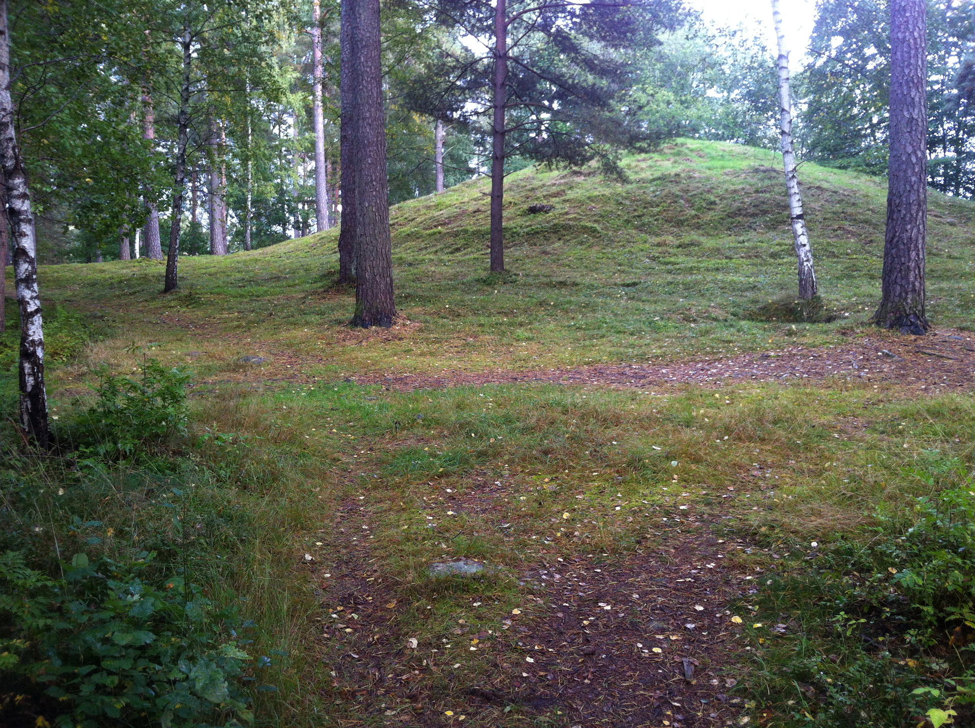 Kungshögen belägen i Vattentornsskogen i centrala Ljungby.
…