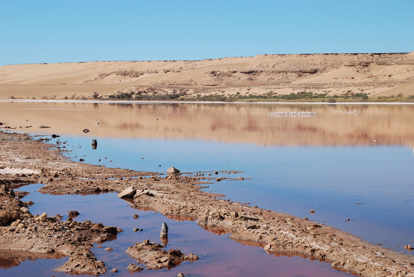 River Saguia el Hamra near El Aaiún—Laayoune, Western Sahara.