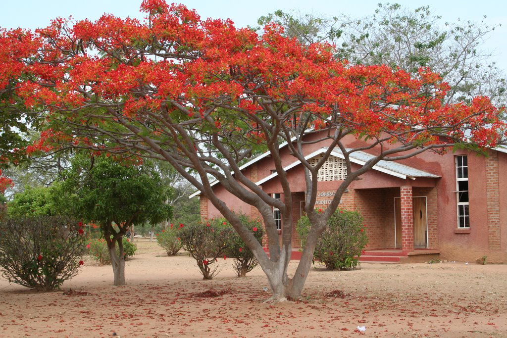 George Benson Christian College of Namwianga Mission near Kalom…