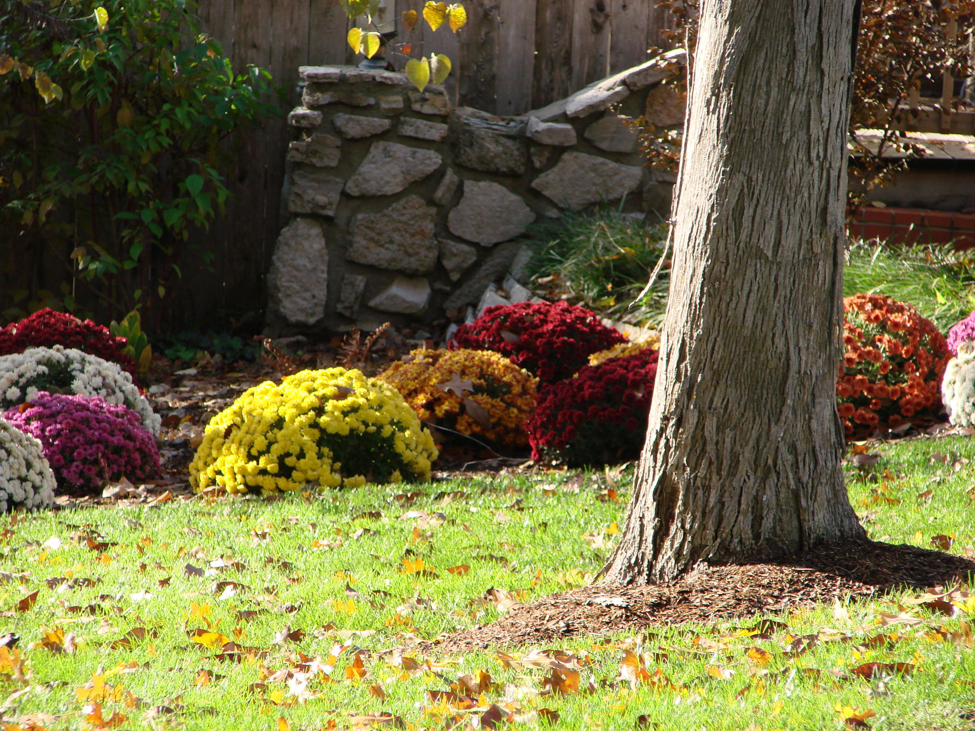 A fall scene in Jefferson City,MO