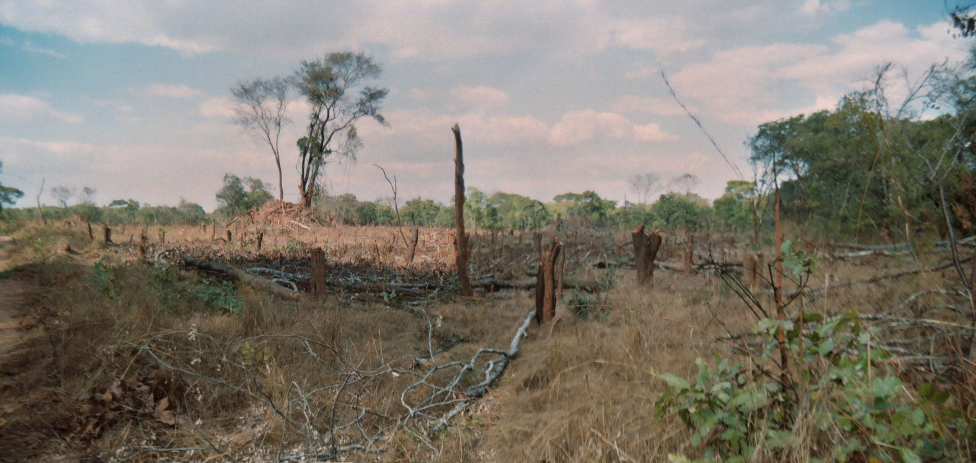 This is an example of "Block Chitemene" taken 4 km south of Kel…