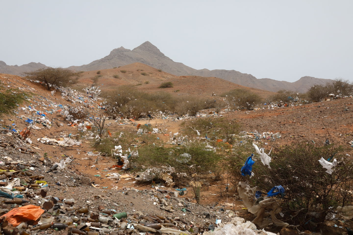 Mindelo