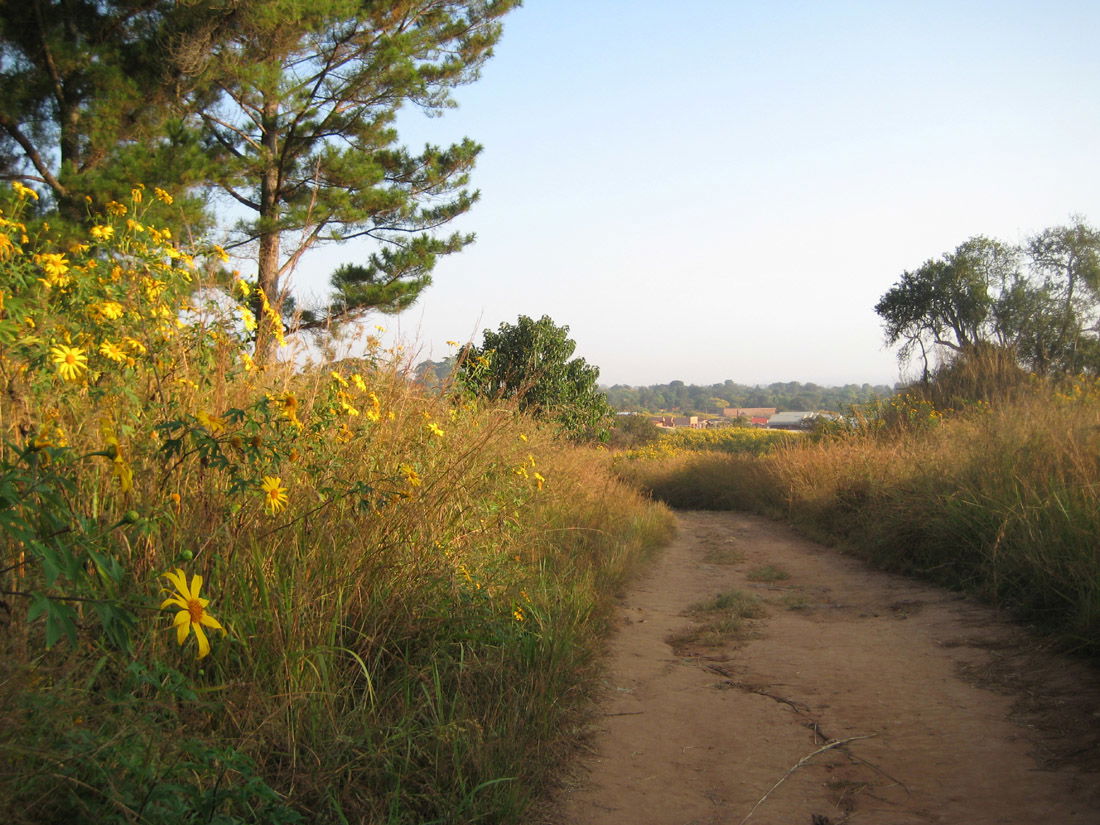 Mwinilunga view 1