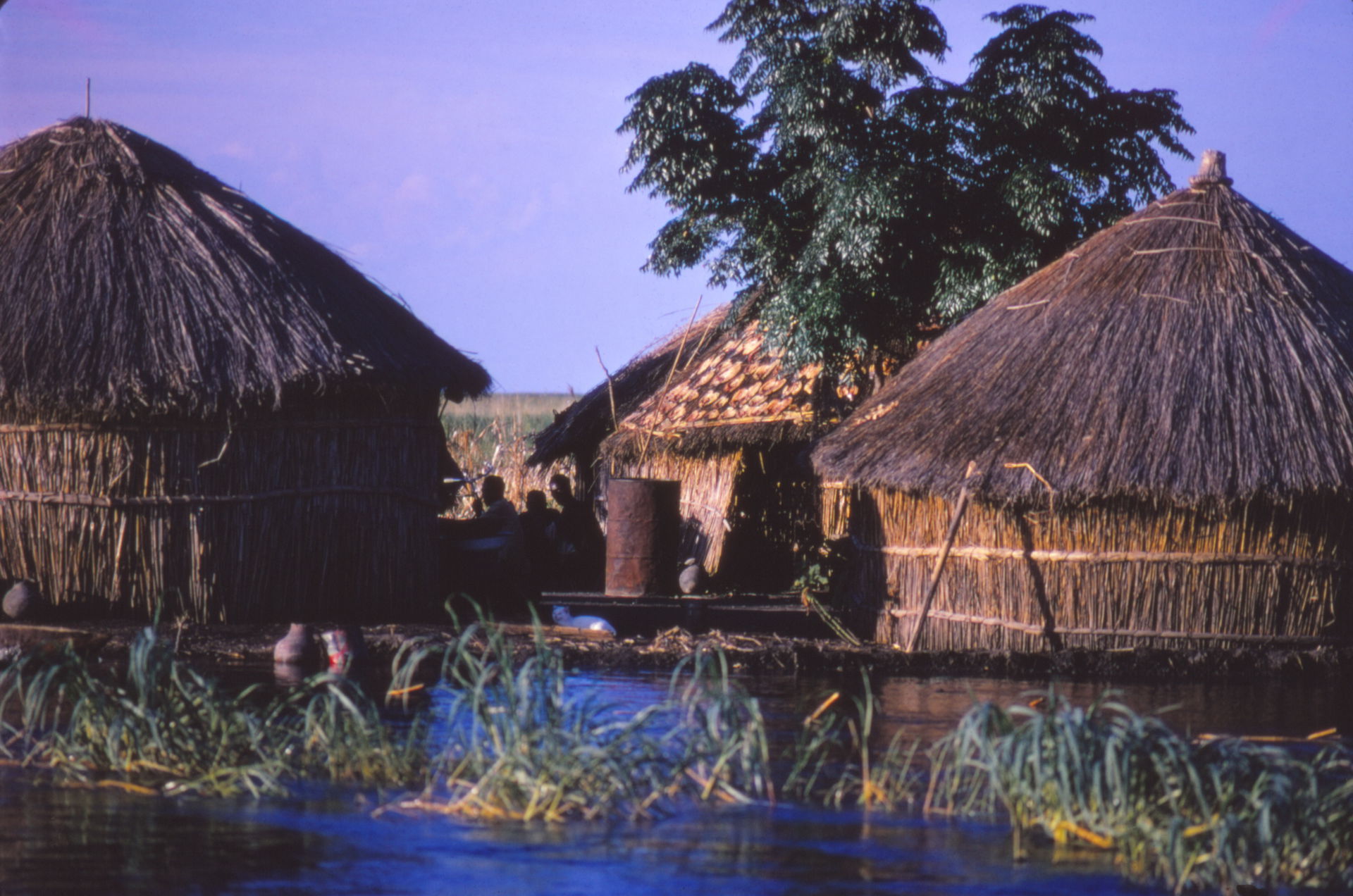A this village at high water fisher folk often dry fish on th r…