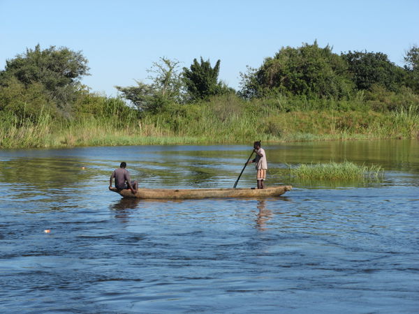 Zambezi