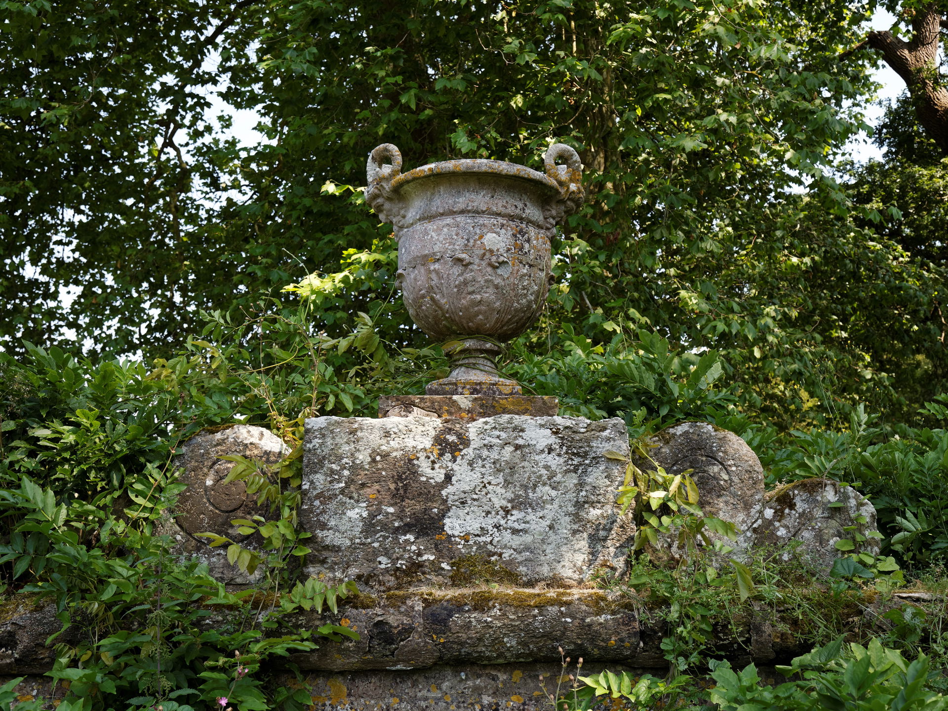 A lichen covered and mossy ornamental garden urn with pan or sa…