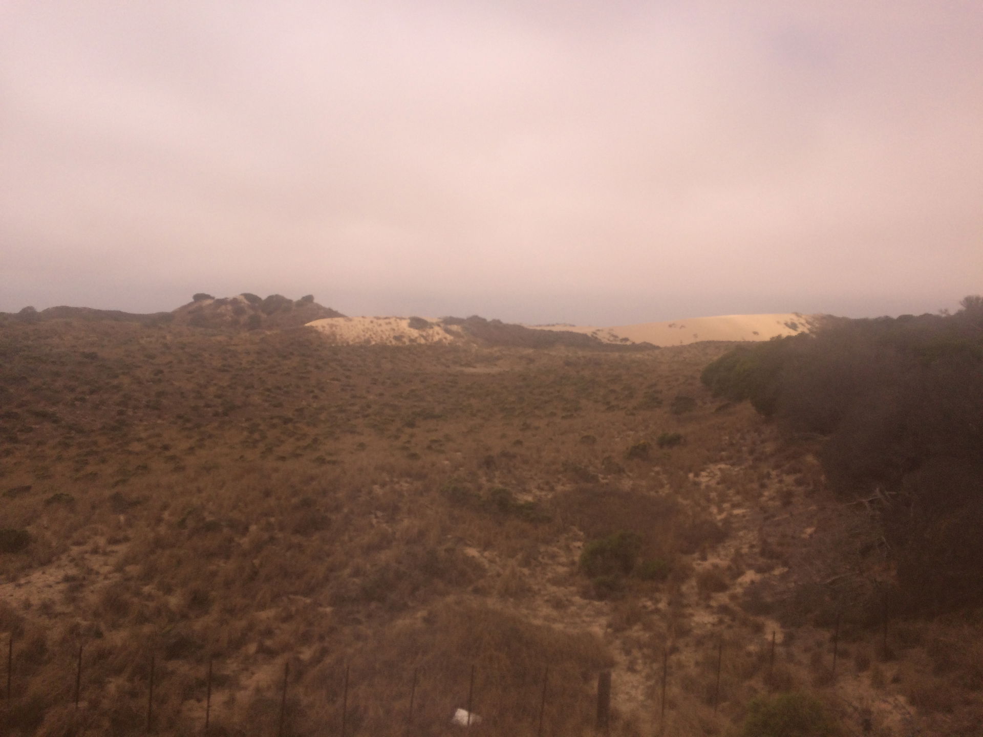 San Luis Obispo-Paso Robles, CA, CA, USA