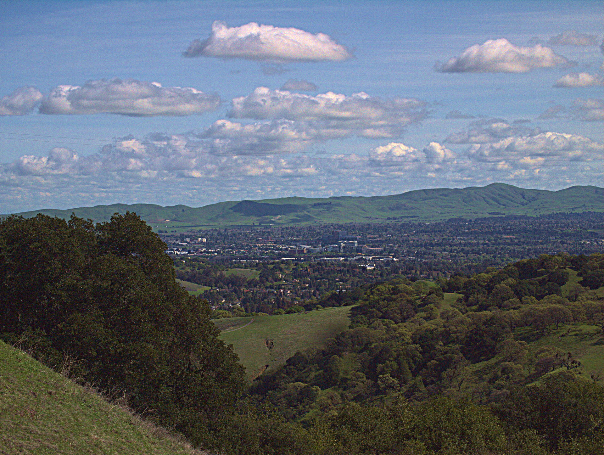 Photographed along Old Briones Road Trail, Briones Regional Par…