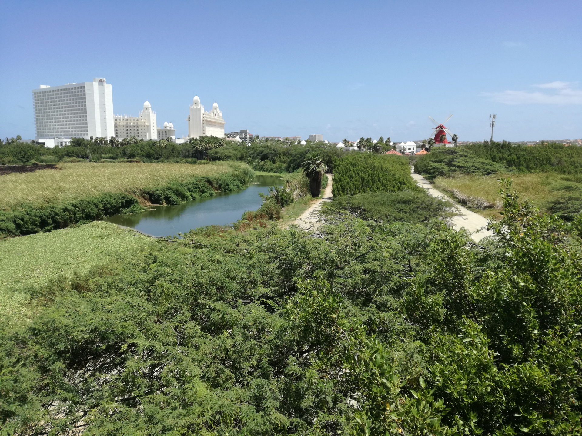 just days after a devastating fire - www.visitaruba.com/news/ev…