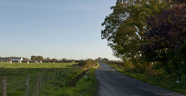 Bibbys Lane