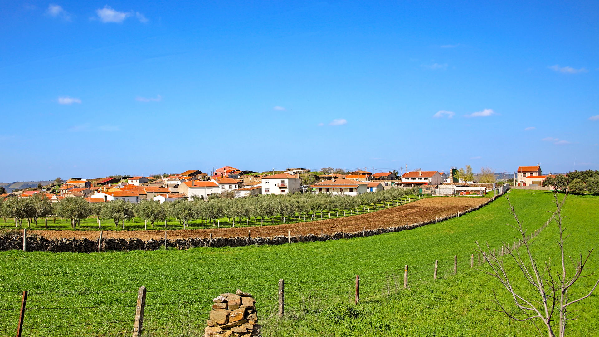 La Bouza es un municipio de la comarca Campo de Argañán, en la …