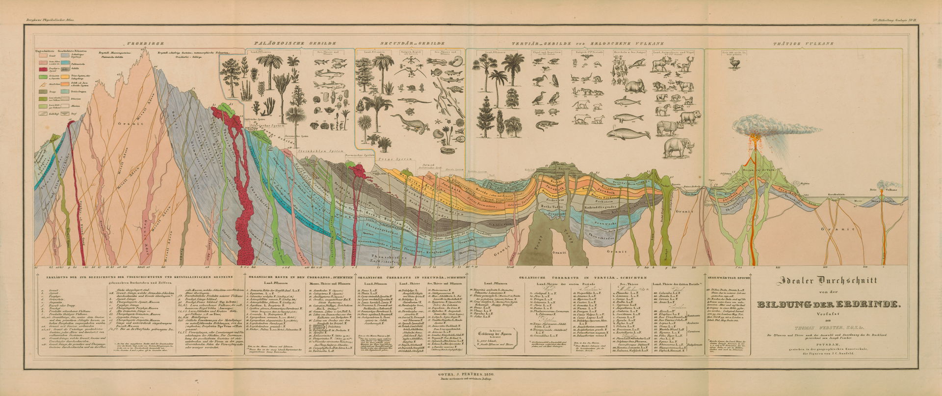 Alexander von Humboldt, diagram of a cross-section of the earth…