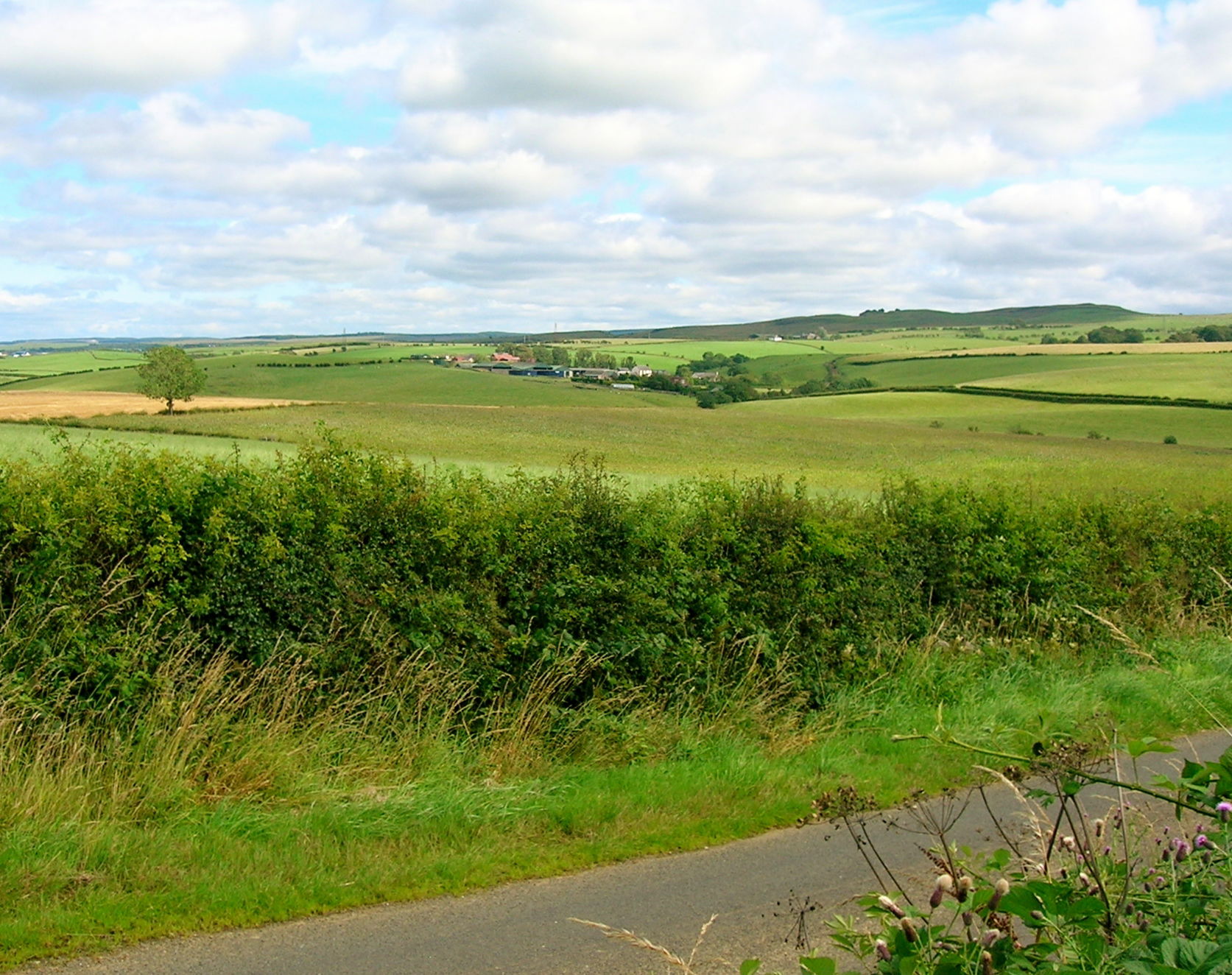 Sandhill Farm from near Bowmanston Farm, Ayrshire, Scotland.