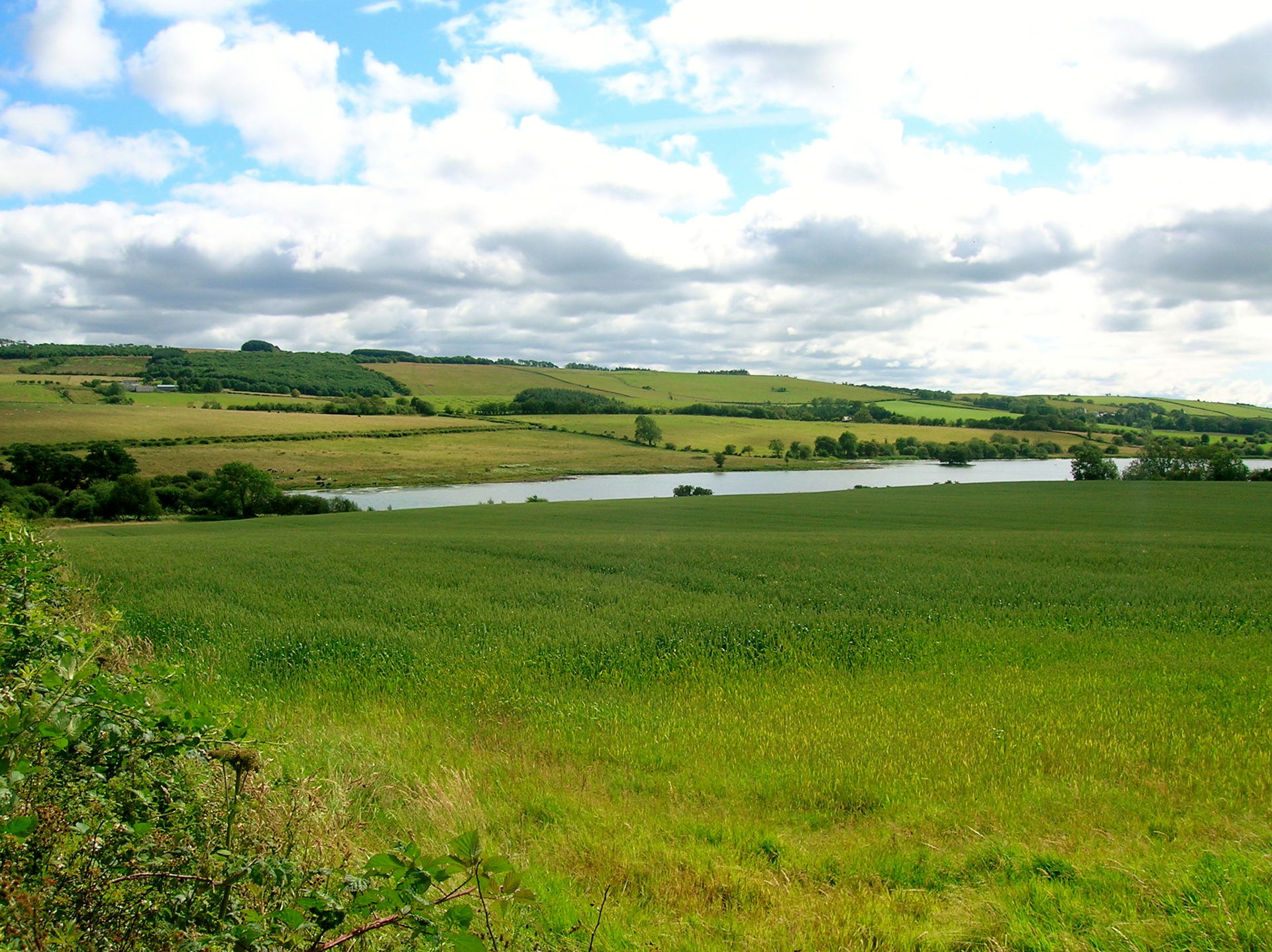 Martnaham Loch from near Bowmanston Farm, Coylton, Ayrshire, Sc…