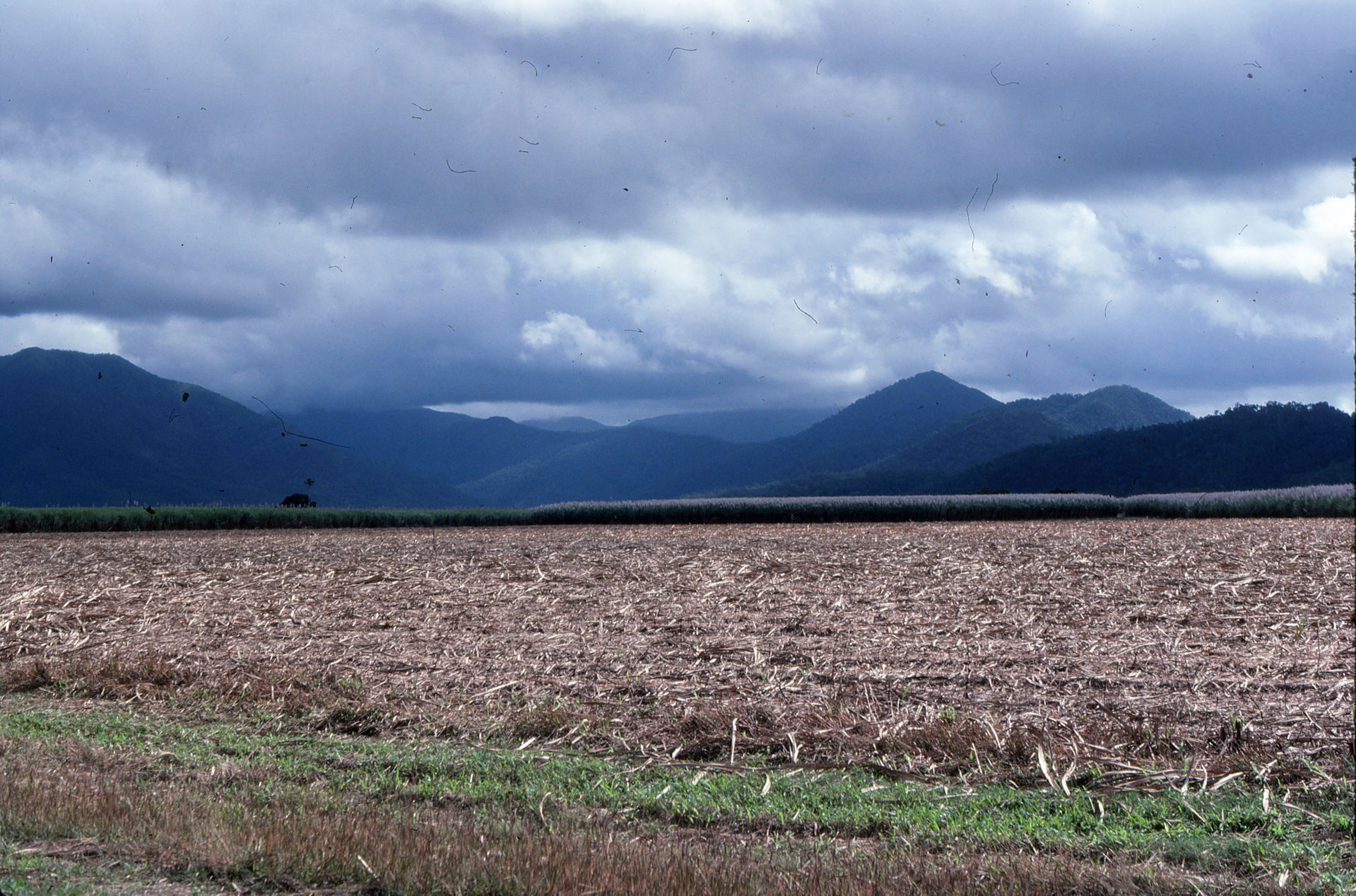 Canefield and Seaview Ranges Ingham Queensland 1985