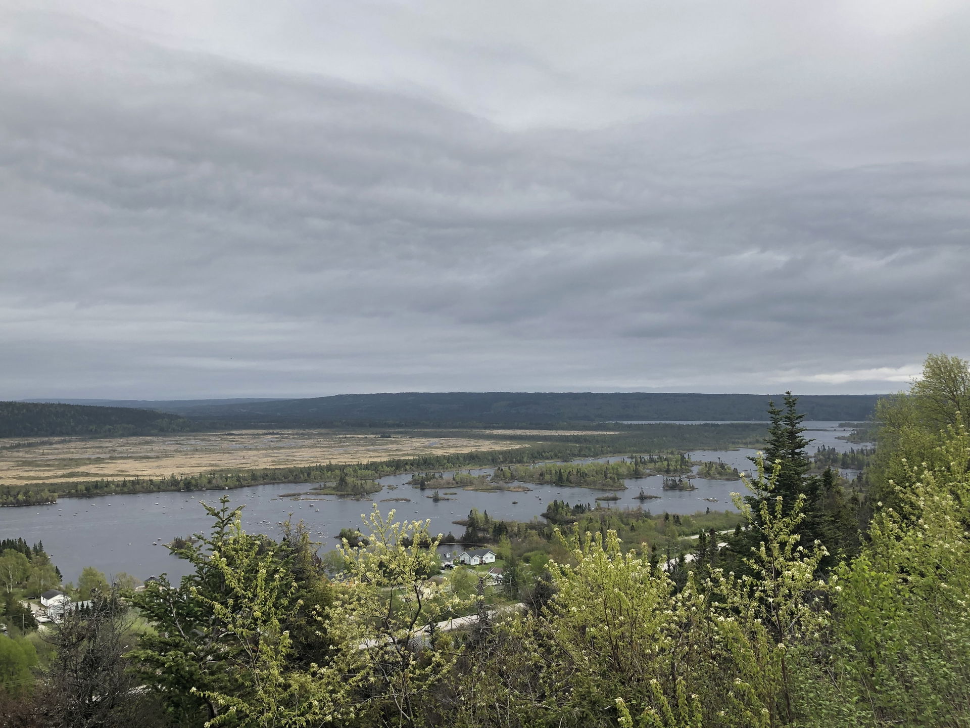 The Gambo River seen from Joey’s Lookout