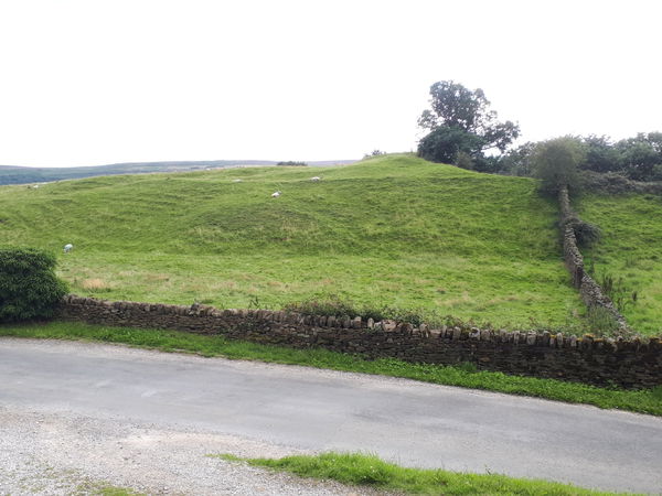 Nesfield