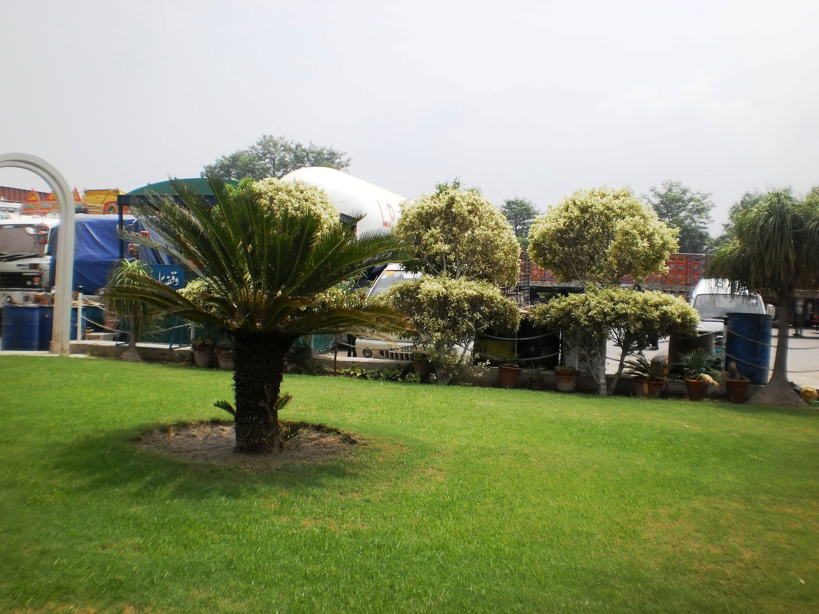 Lawn at Taj Petroleum Pattoki