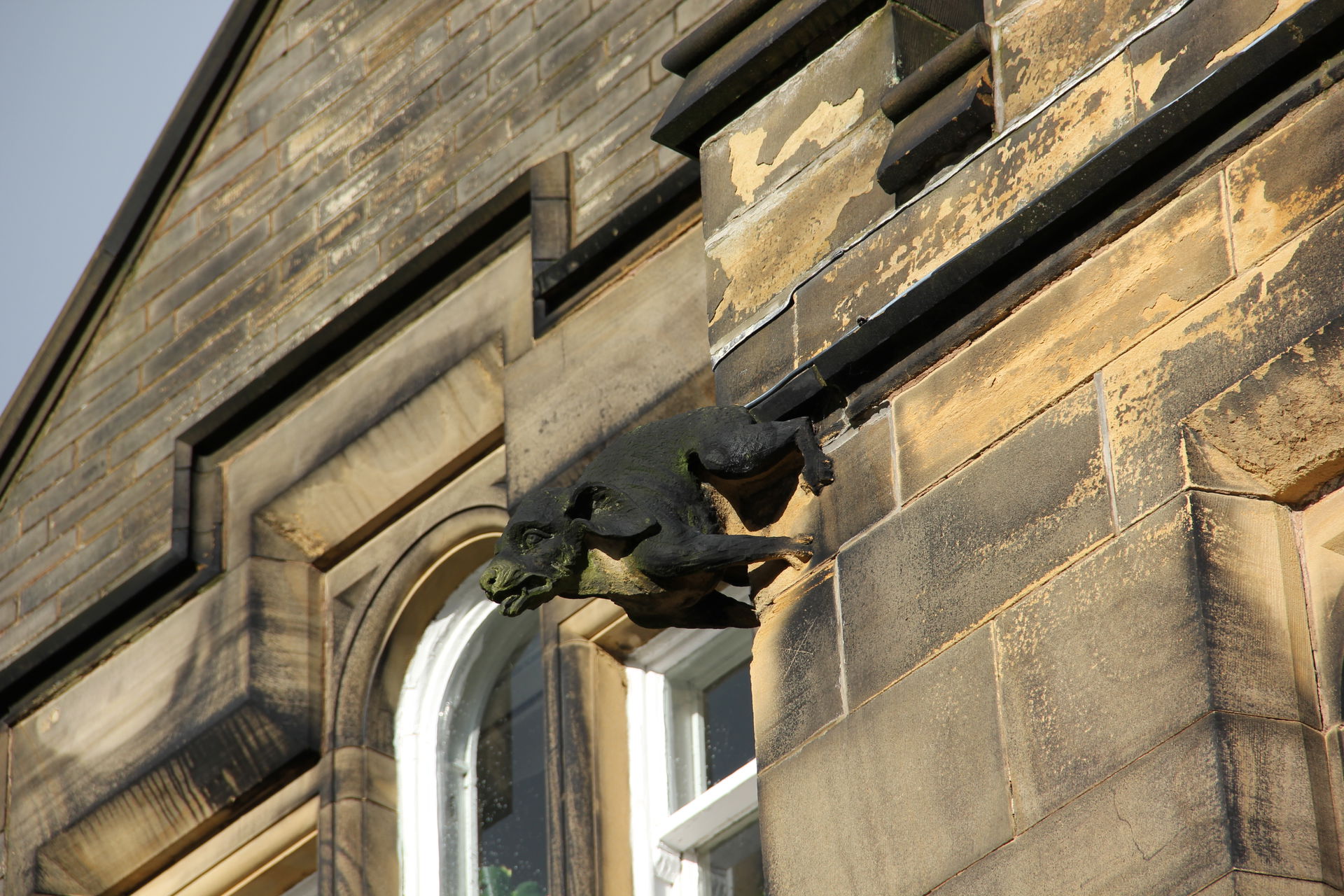 Faux-gargoyle carving of a dog on front of Spring Hall, now kno…