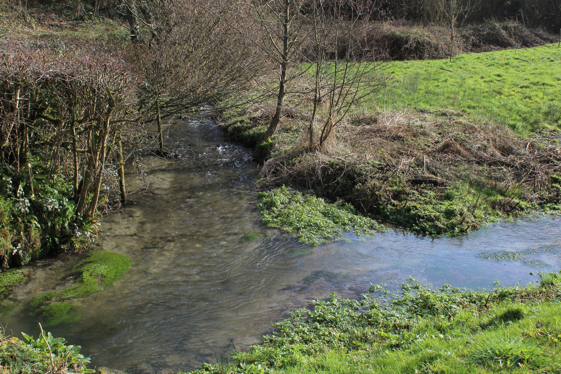 River Nadder at Mullins Bridge