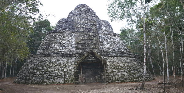 Xaibe