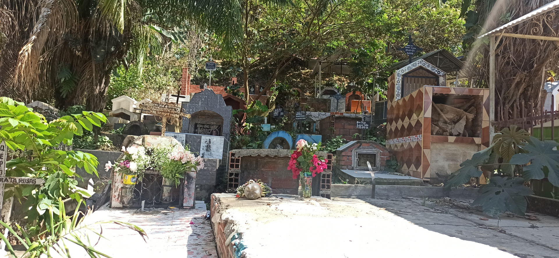Algunas tumbas en el cementerio de Caranavi en los Yungas, La P…