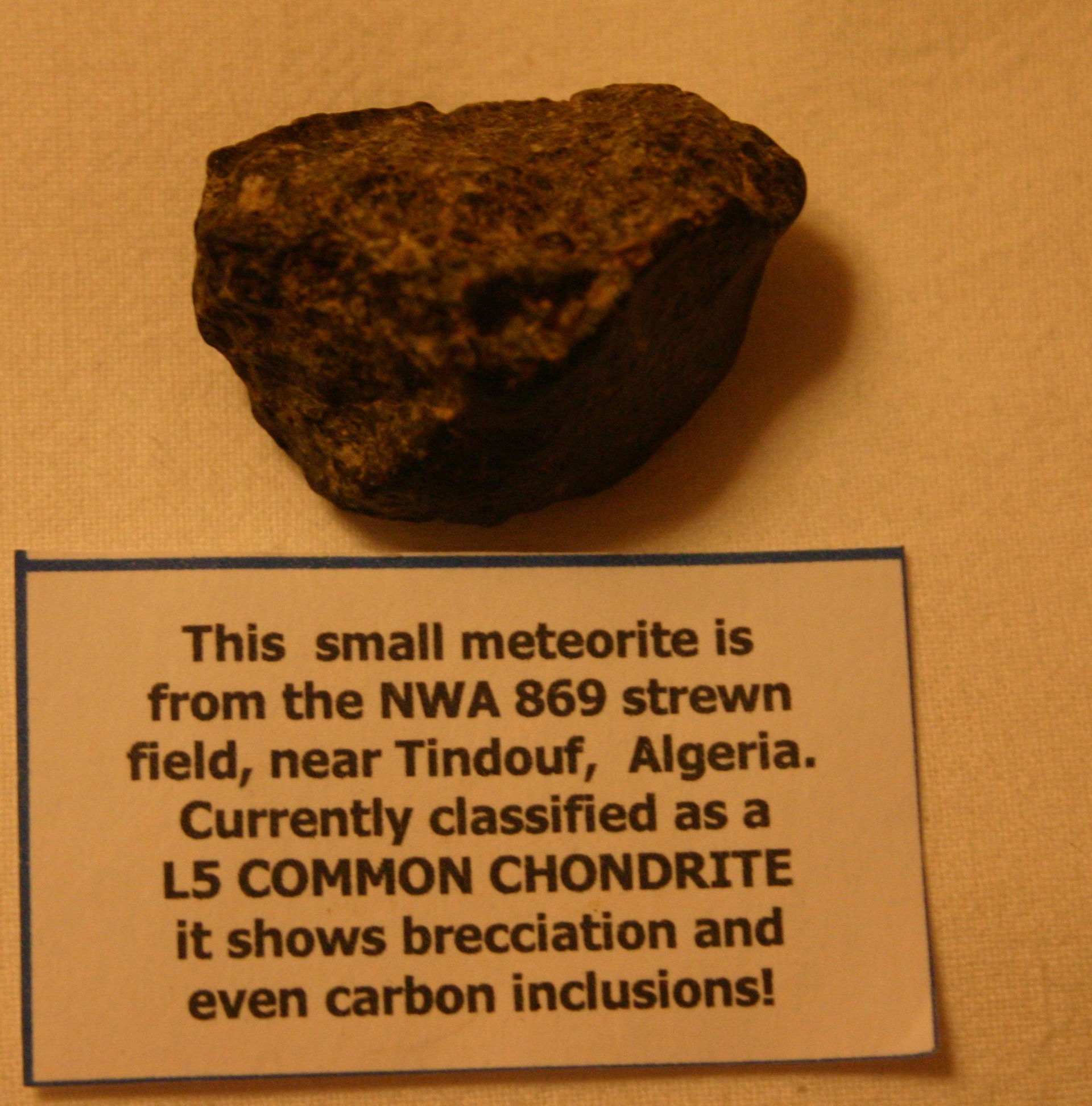 this small meteorite is from the NWA 869 strewn field, near Tin…