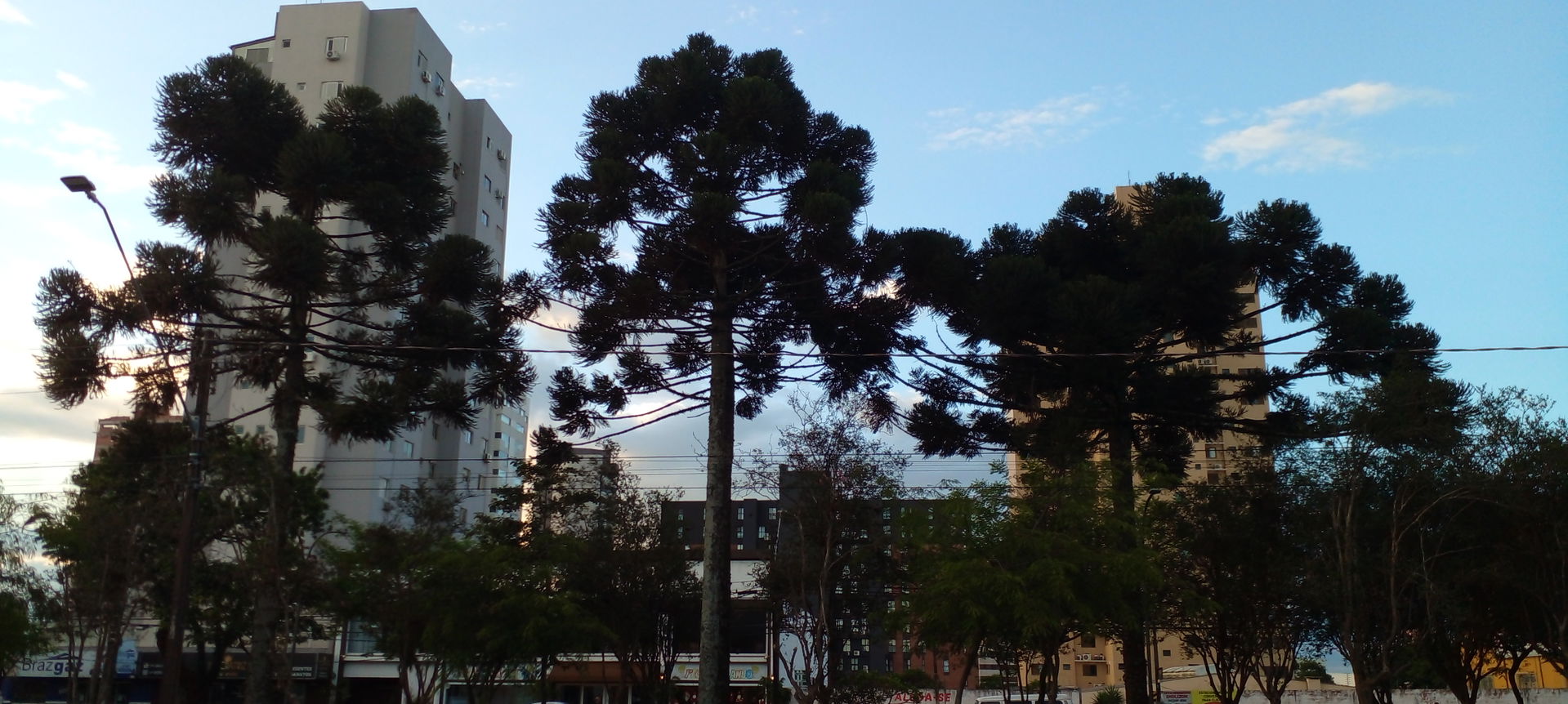 Área central de Cascavel