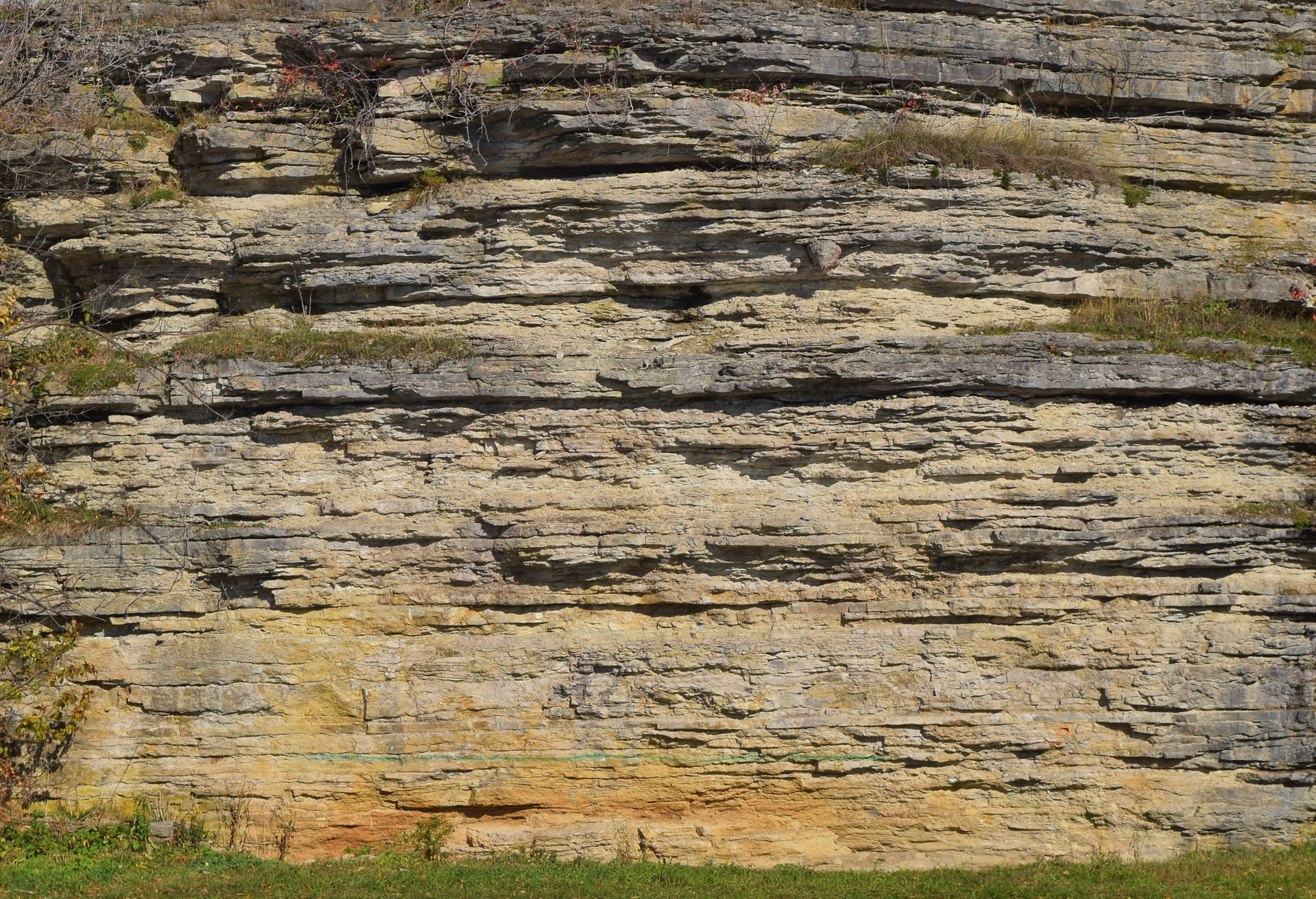 Bobcaygeon Formation.