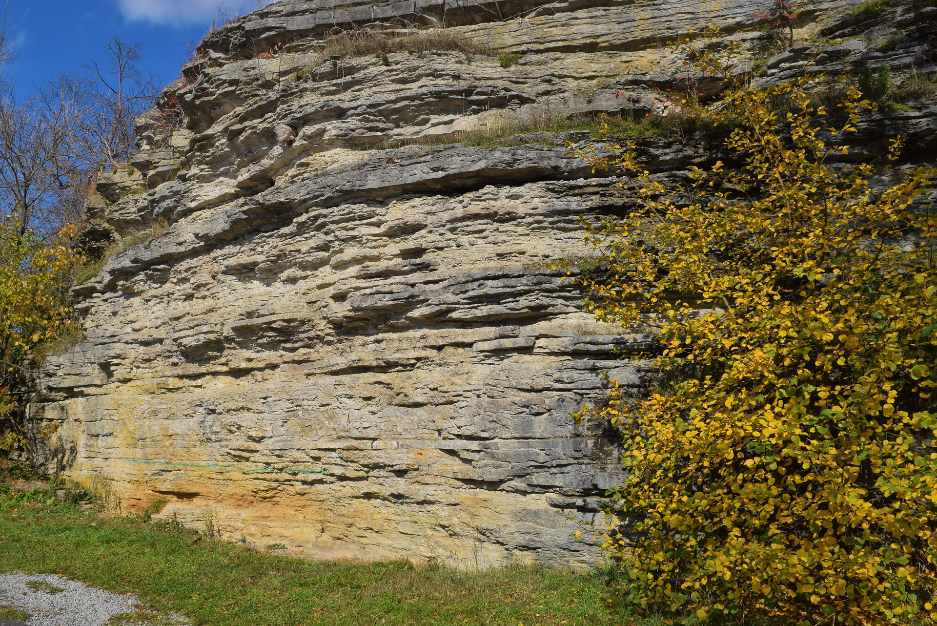 Bobcaygeon Formation.