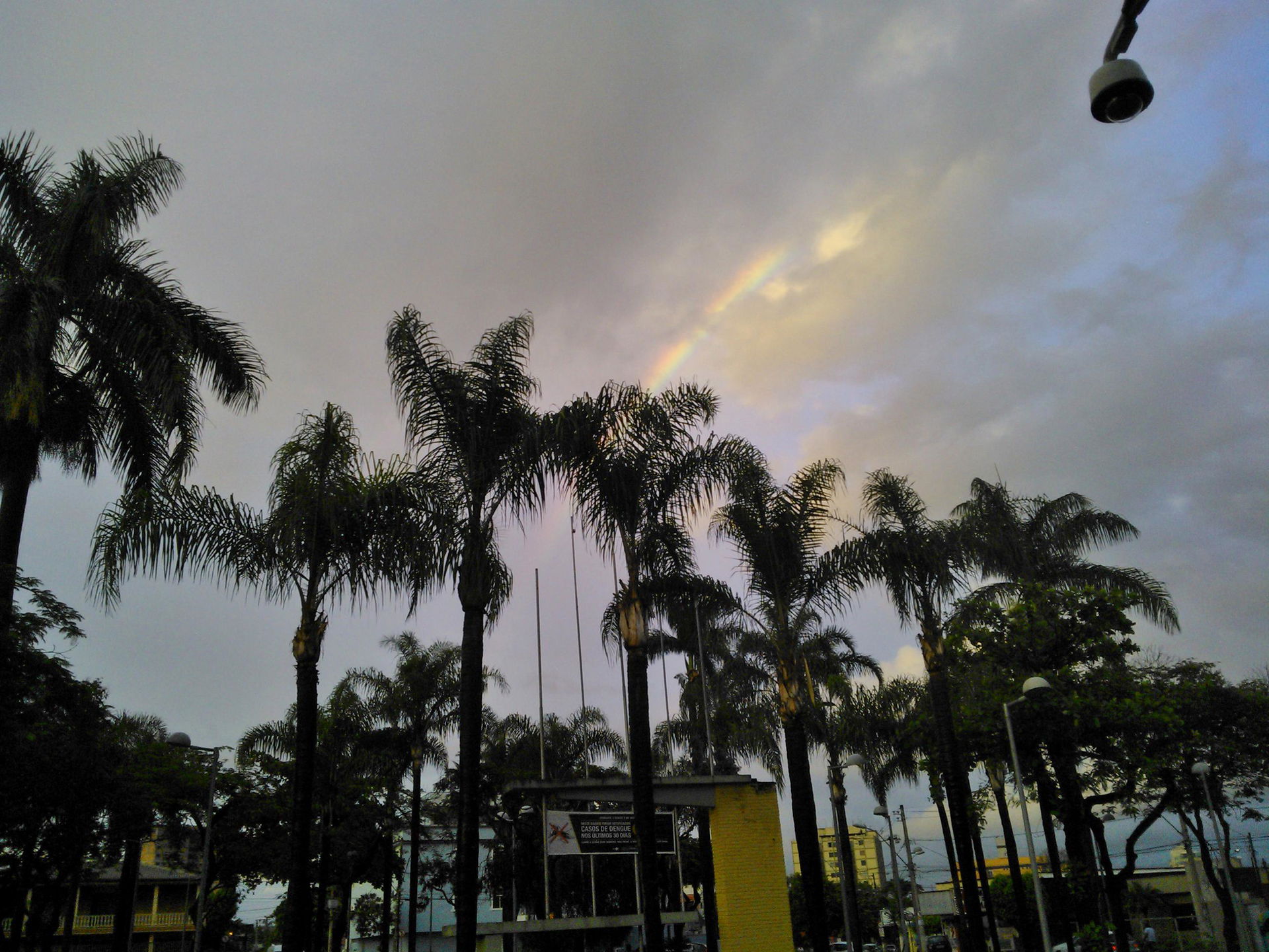 Mesmo ofuscado pelas nuvens cinzas deste dia, este belo efeito …