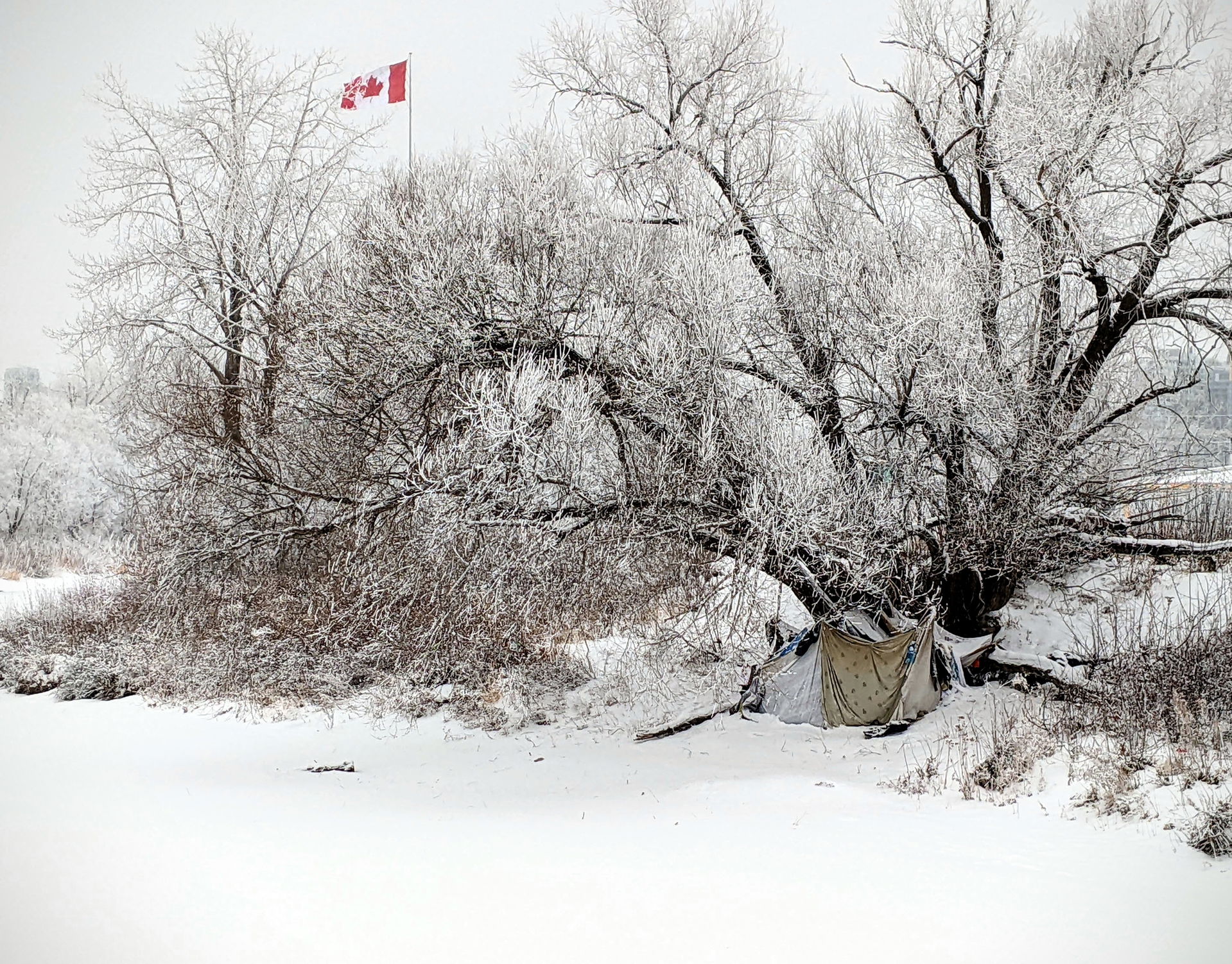 A campsite erected by a homeless person along the Elbow River i…