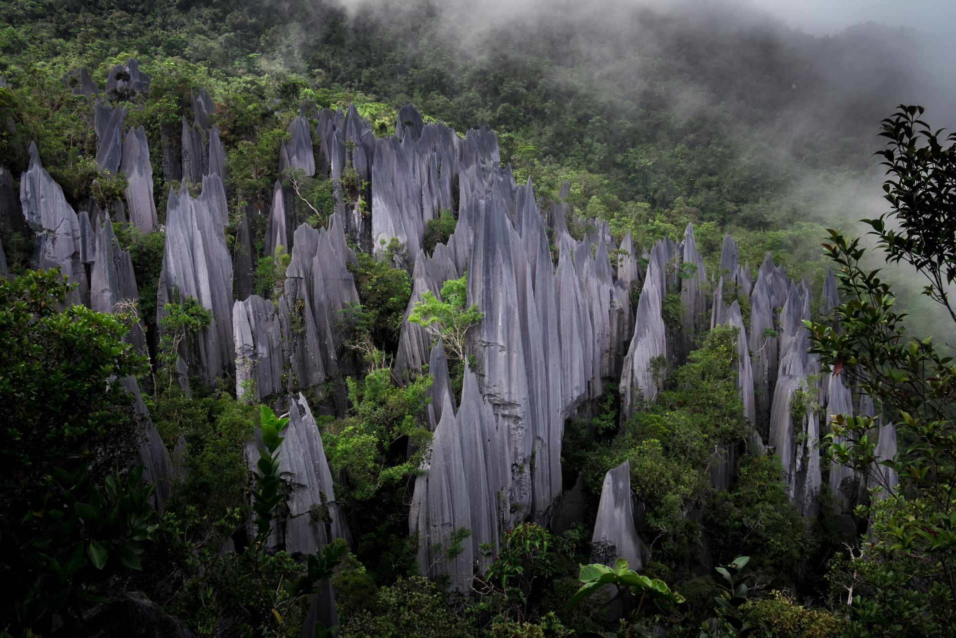 The karst formation known as the Pinnacles, located near the to…