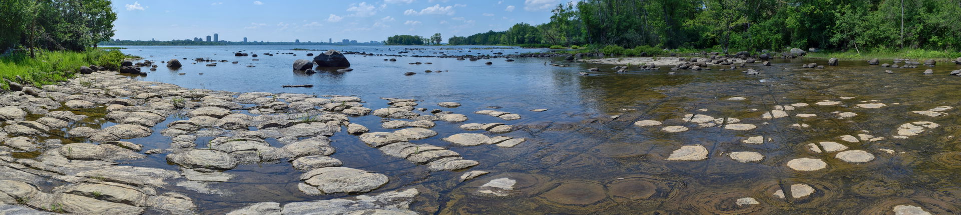 Stromatolites exposed on the bank of the Ottawa River.