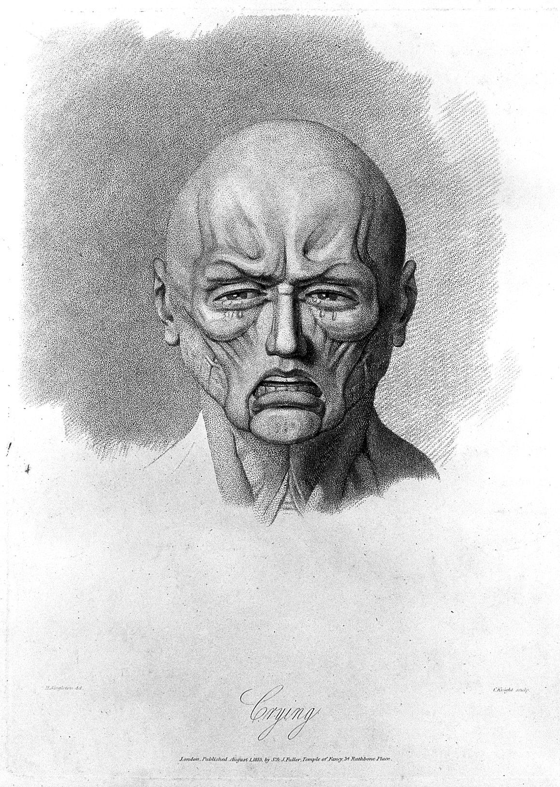 Ecorche expressions of emotions; Crying

Iconographic Collectio…