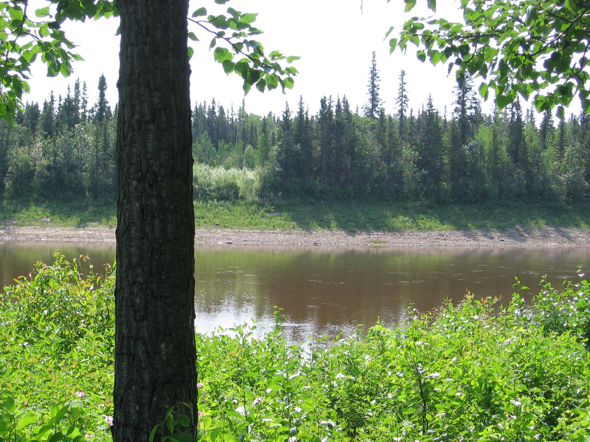 Looking at the river in Hay River, NT