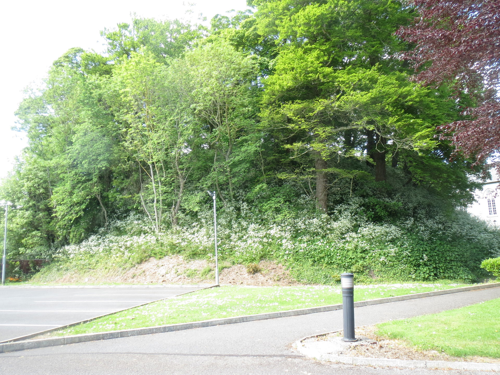 Motte in Ratoath, Co. Meath