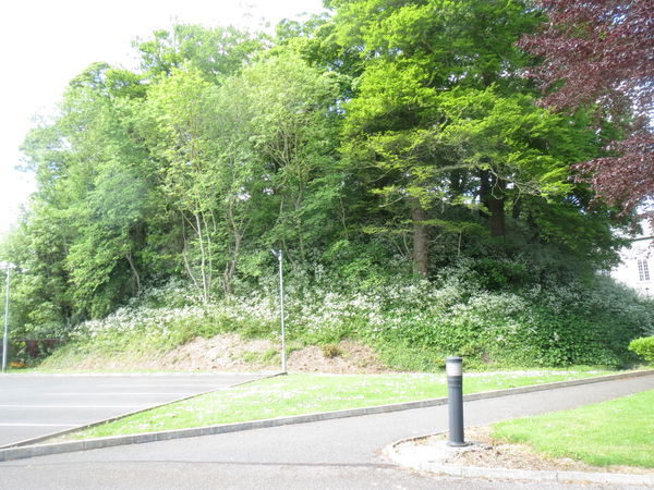 Ratoath