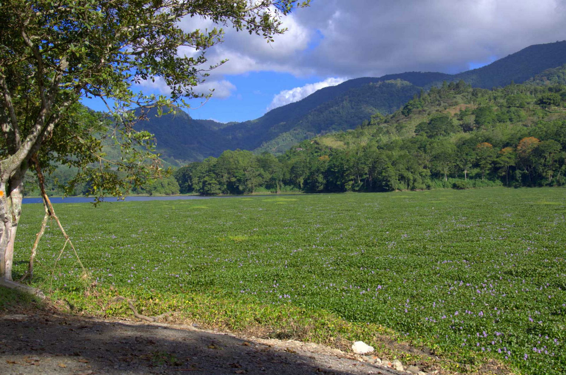 Charrarra Cartago Costa Rica