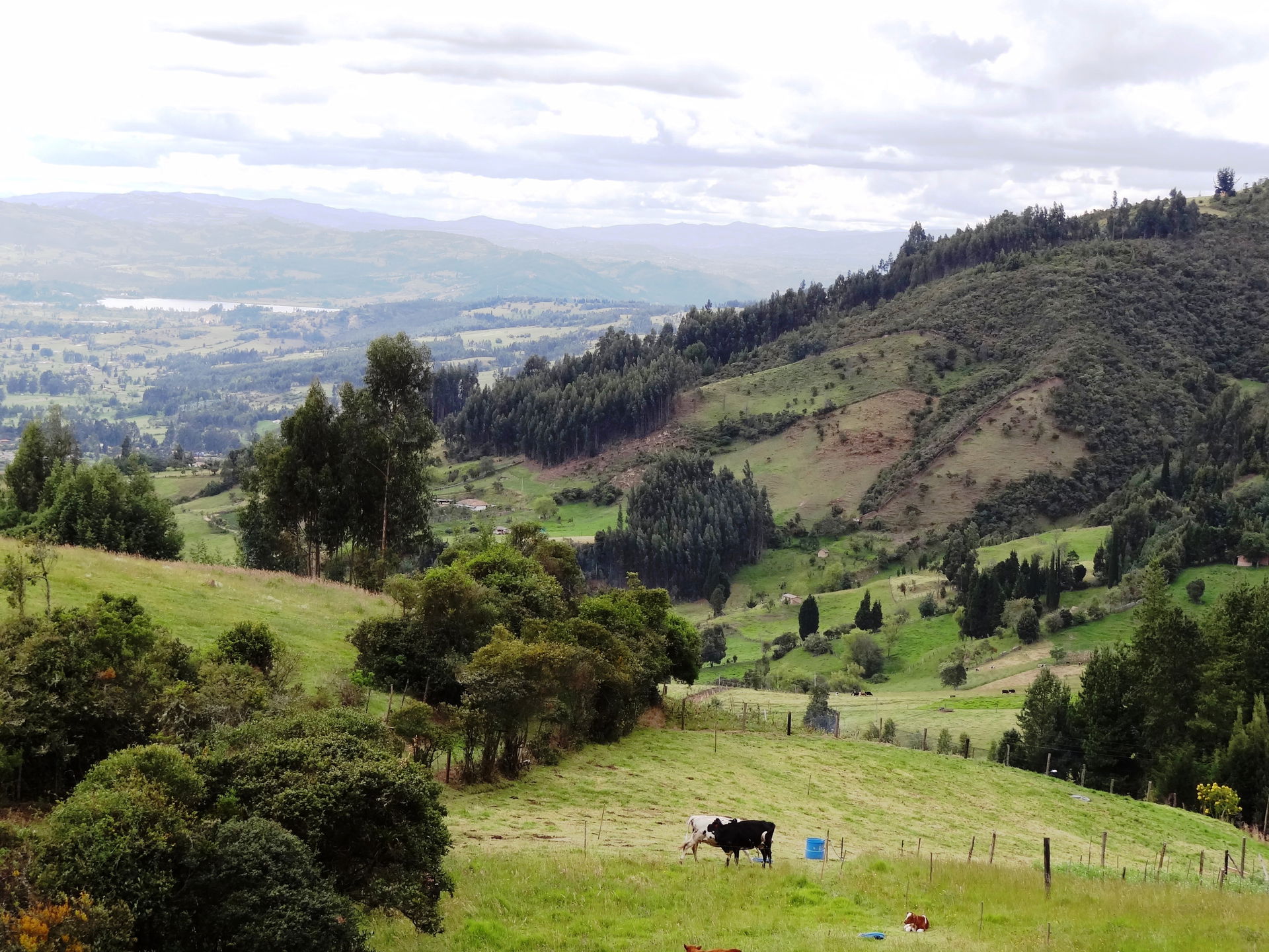 Paraje rural en la vereda Sirata en el municipio de Duitama, de…
