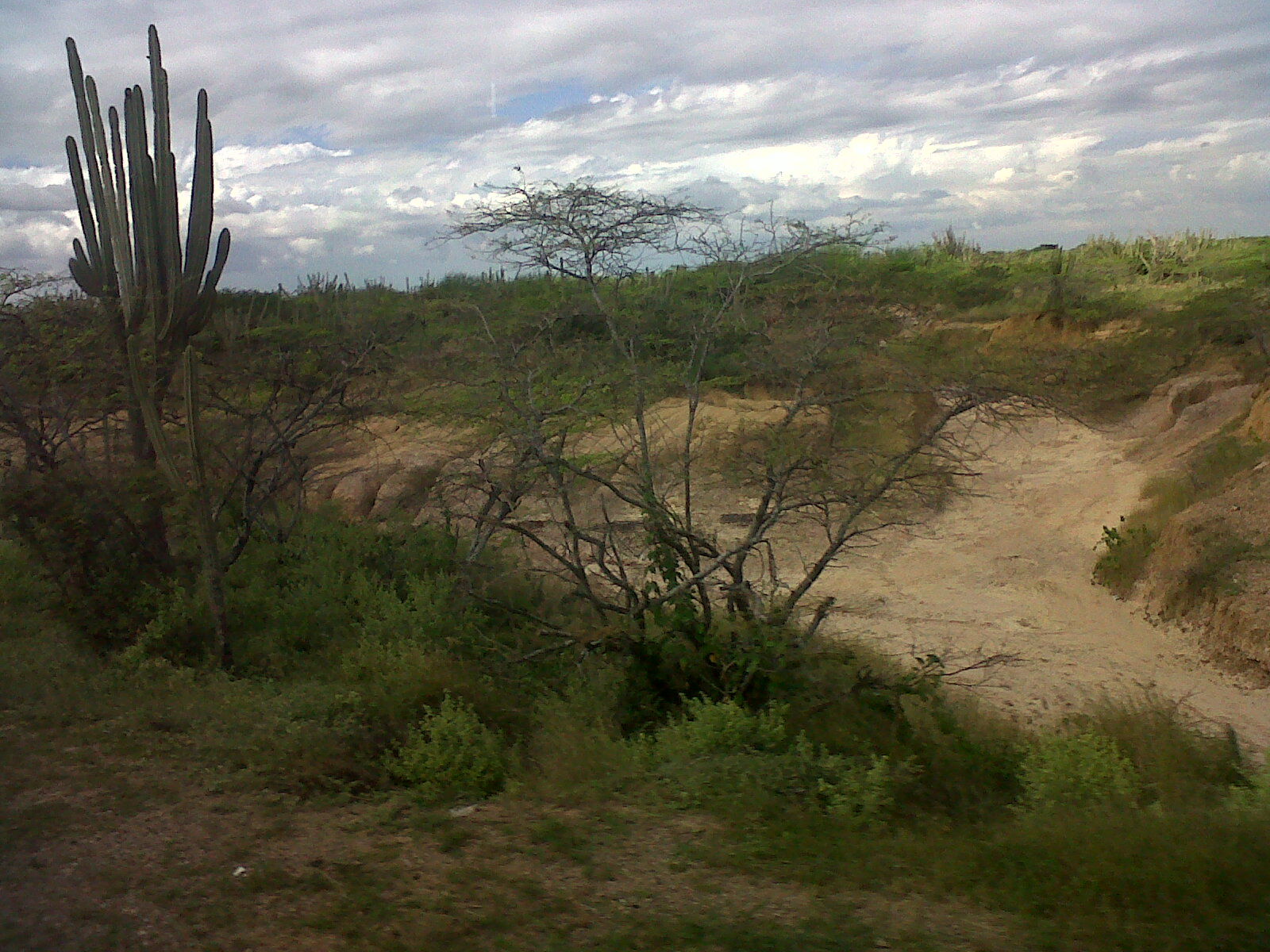 Tierra aridan. A las afueras de Maicao, Guajira.