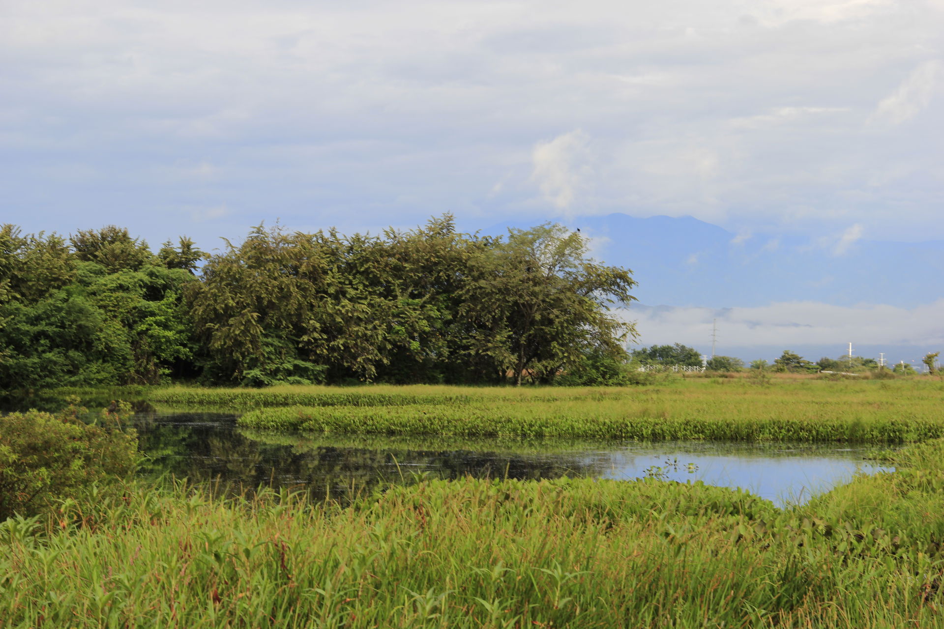 Paisaje del Jardín Botanico de Neiva Huila