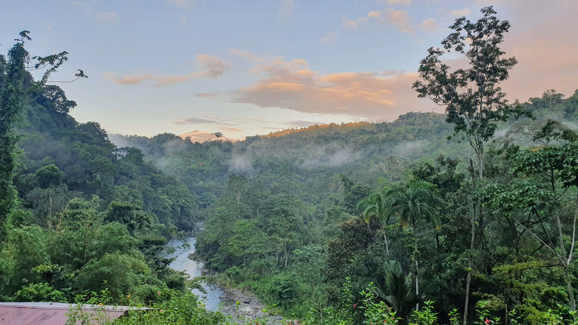 The photo shows a view from the Ave Sol River Sanctuary down to…