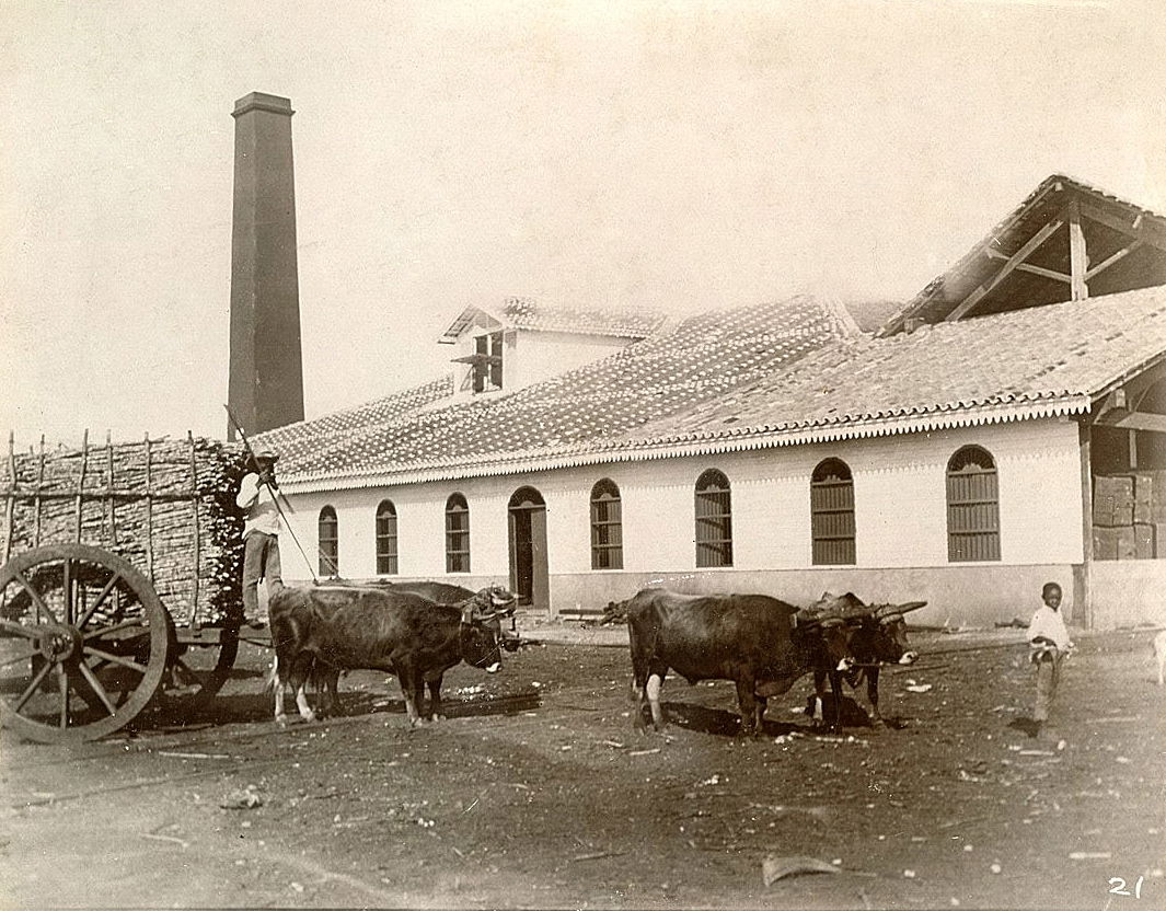 Photographic print : albumen Sugar factory in Matanzas provinc…